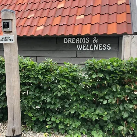 Dreams And Wellness