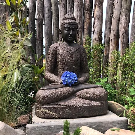 Dreams And Wellness