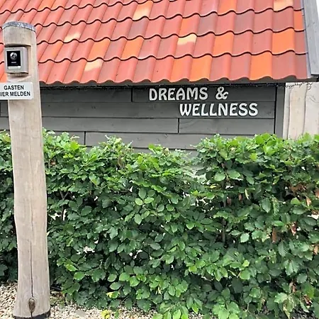Dreams And Wellness *