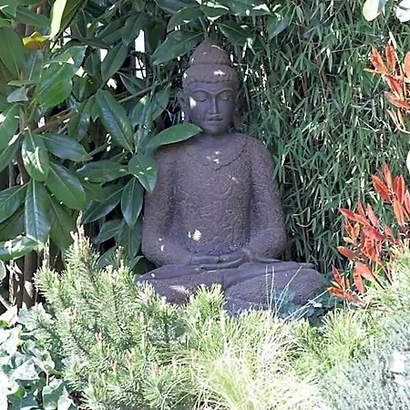 Dreams And Wellness Vorstenbosch