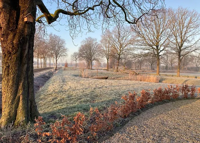 Dreams And Wellness Panzió