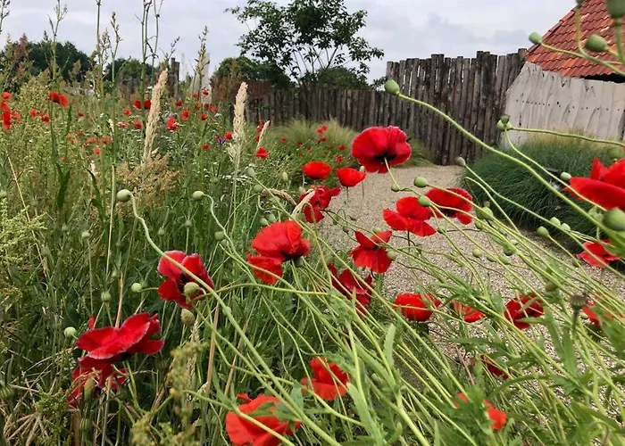 Dreams And Wellness Panzió Vorstenbosch