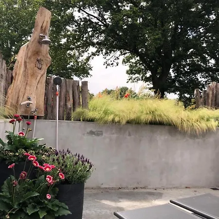 Dreams And Wellness *