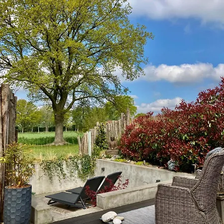 Bed & Breakfast Dreams And Wellness