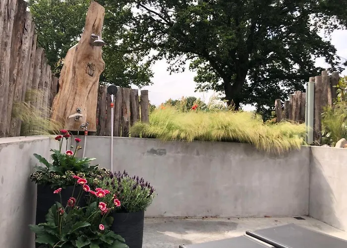 Dreams And Wellness *