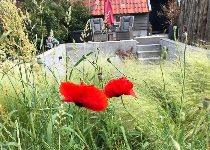 Dreams And Wellness *