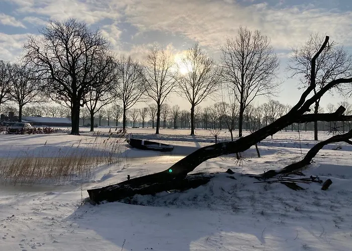 Bed and Breakfast Dreams And Wellness