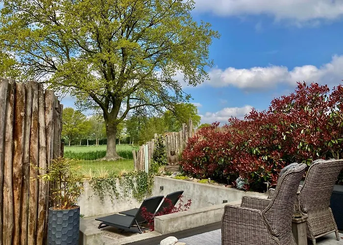 Bed and Breakfast Dreams And Wellness